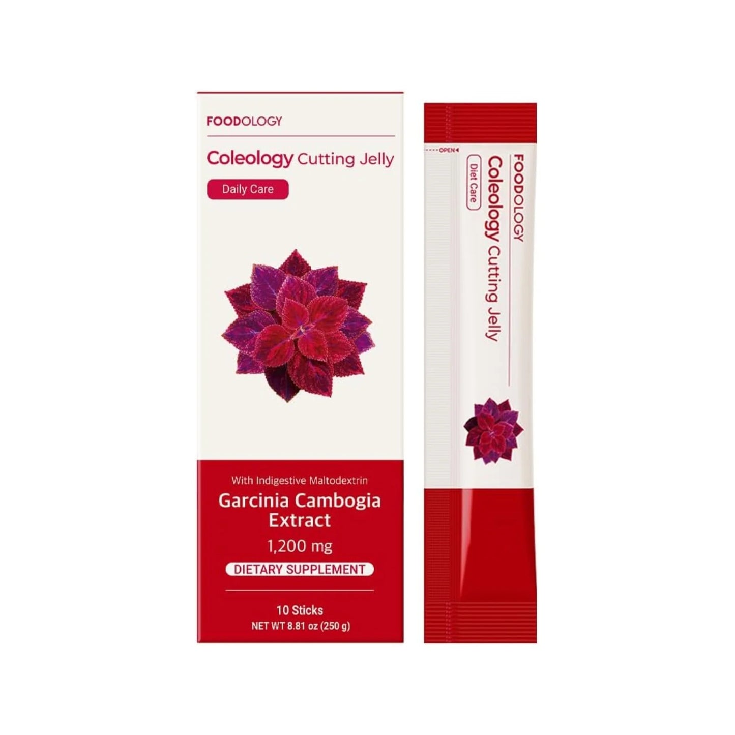 FOODOLOGY Coleology Cutting Jelly