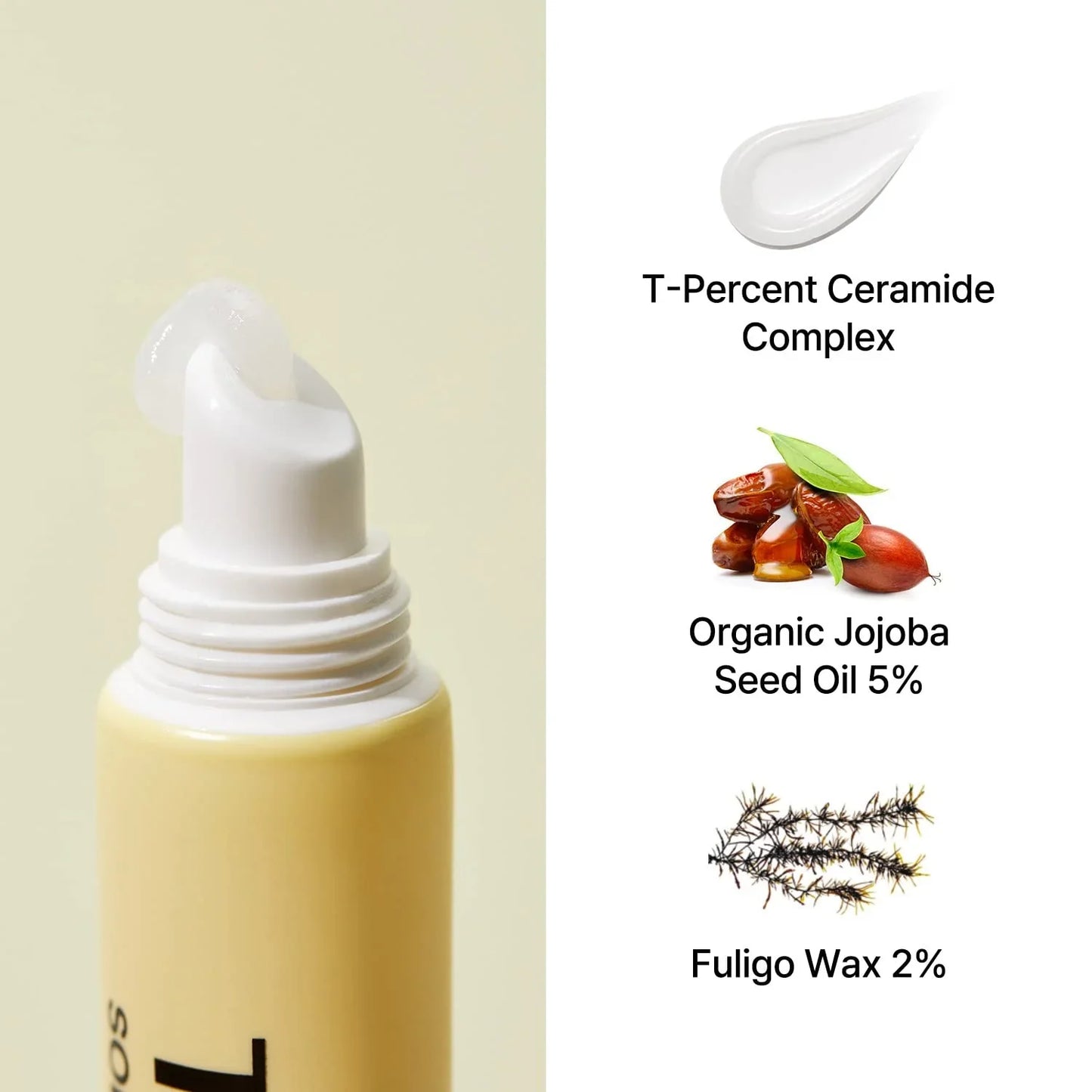 TORRIDEN Solid In Ceramide Lip Essence