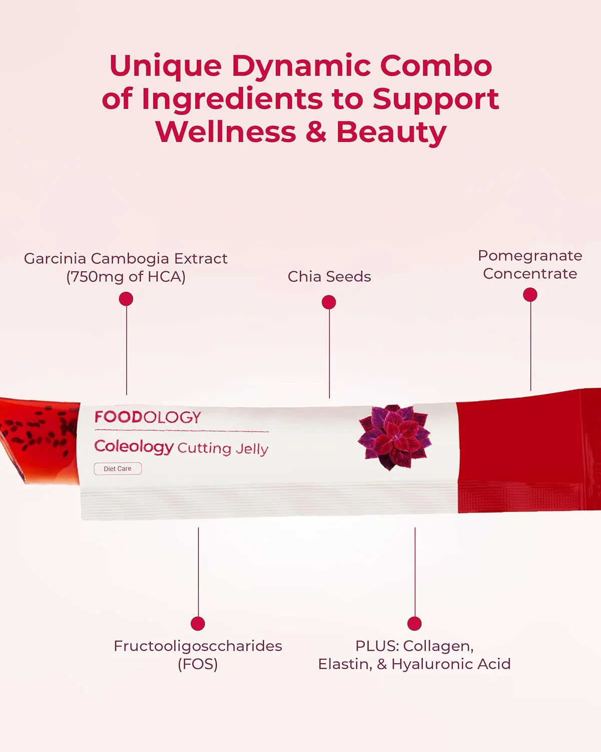 FOODOLOGY Coleology Cutting Jelly