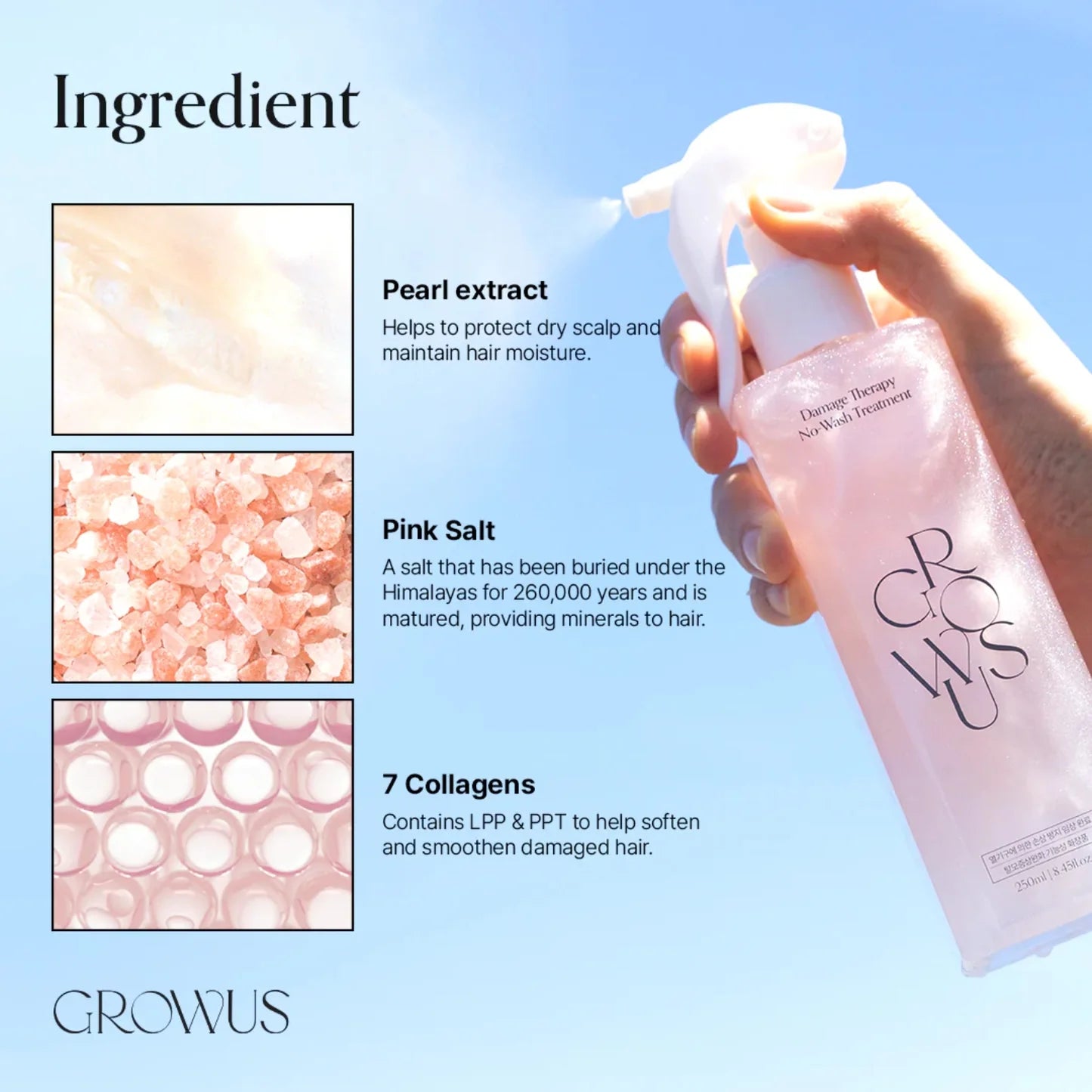 GROWUS Damage Therapy No-wash Treatment EX