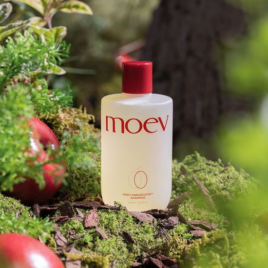 MOEV Annurcatin Shampoo